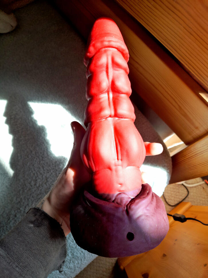 Medium Nova from Bad Dragon